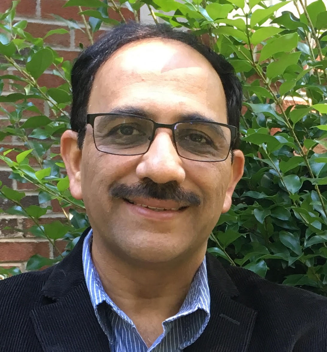 Baba Prasad, Professor of Practice in Leadership at Brown's School of Professional Studies smiles in front of a brick wall and green foliage.