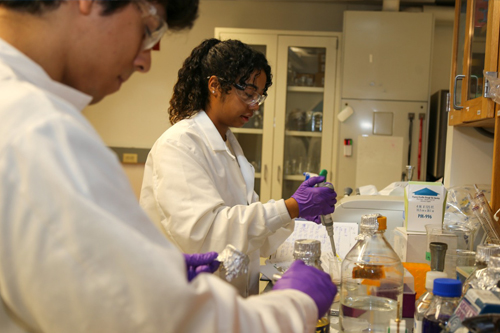 Biomedical engineering students working in a lab
