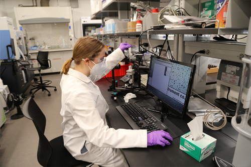 DECES student working on experiment within lab