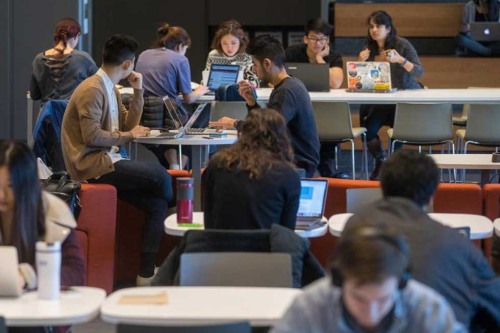 Various students studying in a room