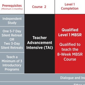 MBSR teacher training pathway
